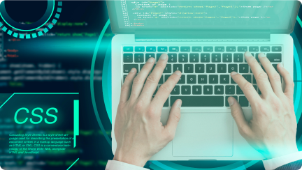 Custom Software Development